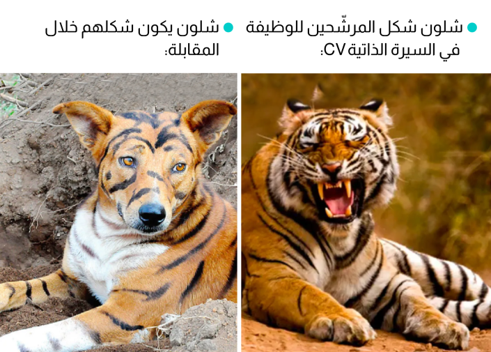 Meme